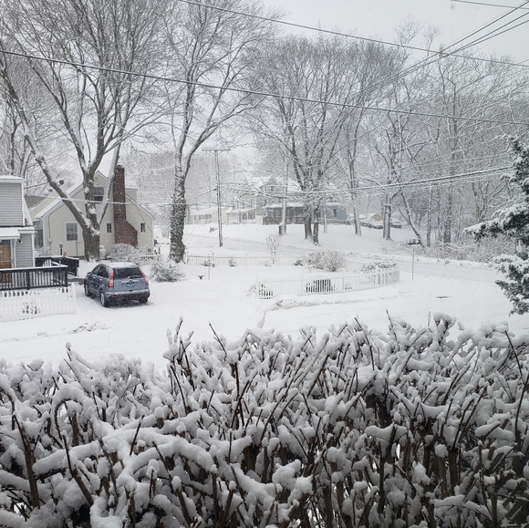 Snow - Picture 2 of 7